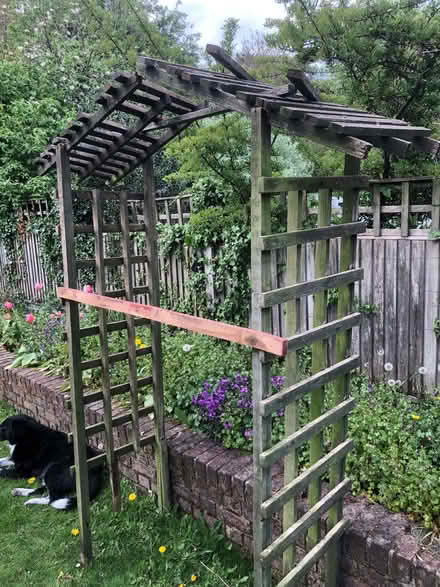 Photo of free Trellis including arch (Dereham Rd area NR2) #1