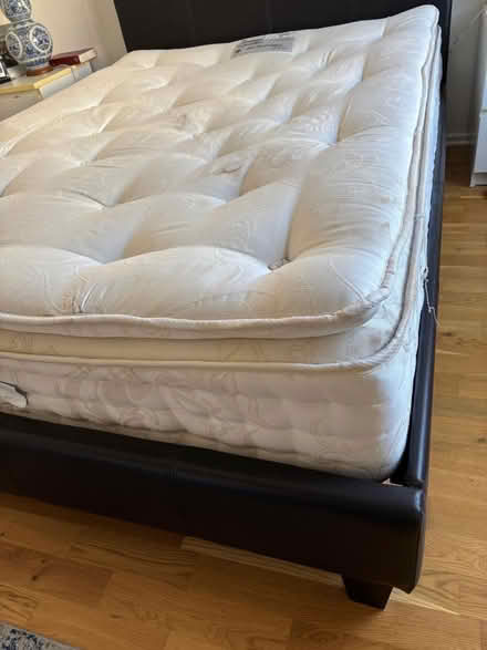Photo of free Double Bed (Highbury Barn N5) #1