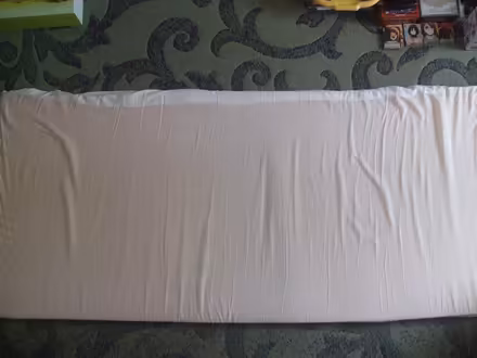 Photo of free Mattress topper (Stretford M32) #1