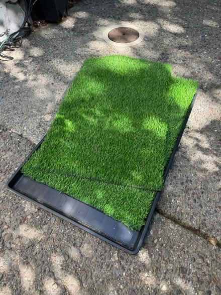 Photo of free Dog Grass Pad w/tray (Larkspur ca) #2