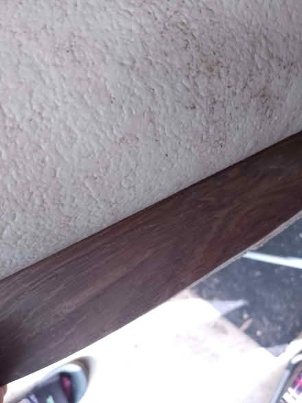 Photo of free lino (Waltham Abbey EN8) #2