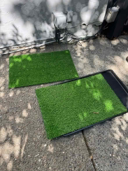 Photo of free Dog Grass Pad w/tray (Larkspur ca) #4