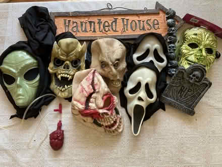 Photo of free Box of Halloween Masks (Meersbrook S8) #1