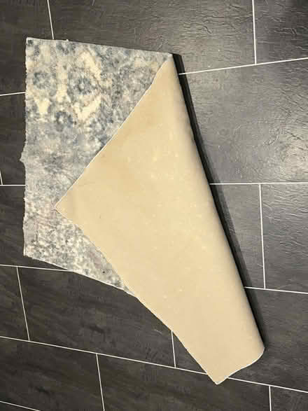 Photo of free Small Rug (Twickenham TW2) #2