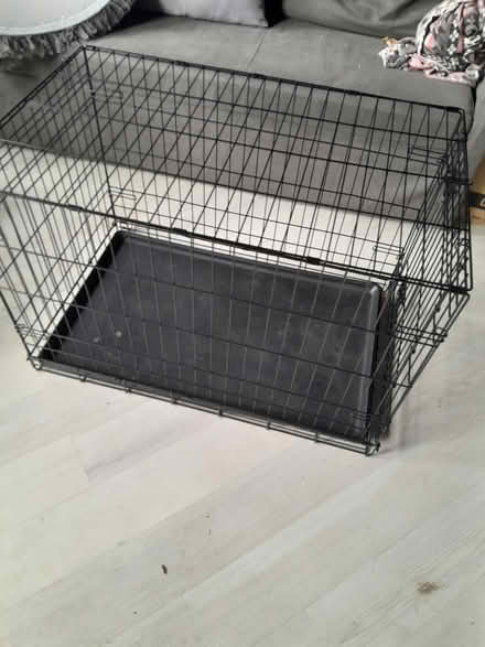 Photo of free Dog Crate - Medium (Whitefield M45) #3