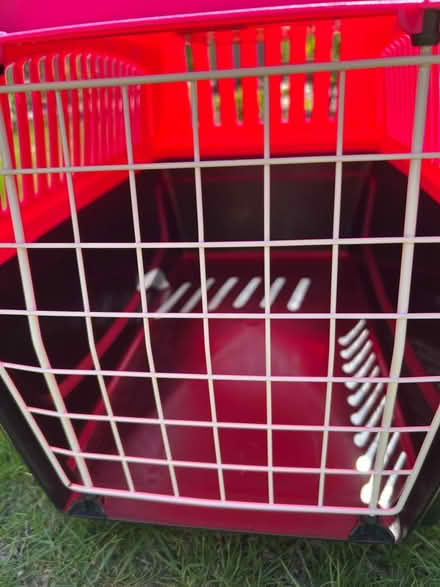 Photo of free Plastic cat carrier (Whitemans Green RH17) #3