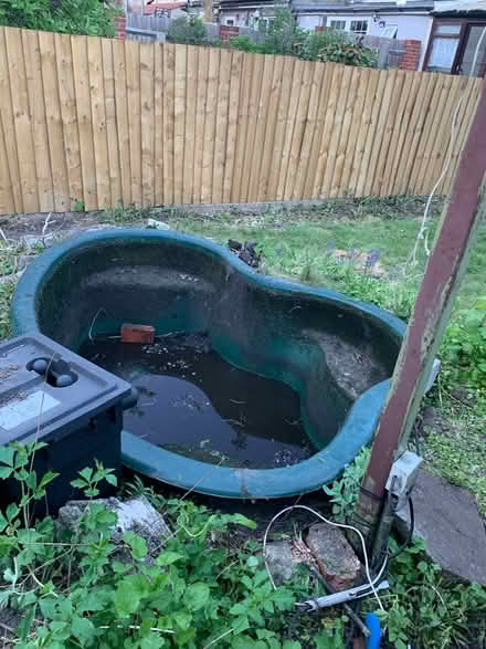 Photo of free Large garden pond (CR4 4HG) #1