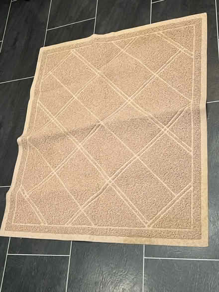 Photo of free Beige Matt (Twickenham TW2) #1