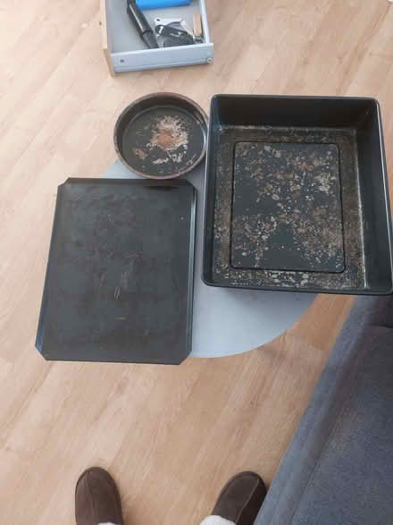 Photo of free Succulents tray? Oven Trays (Hanworth TW13) #3