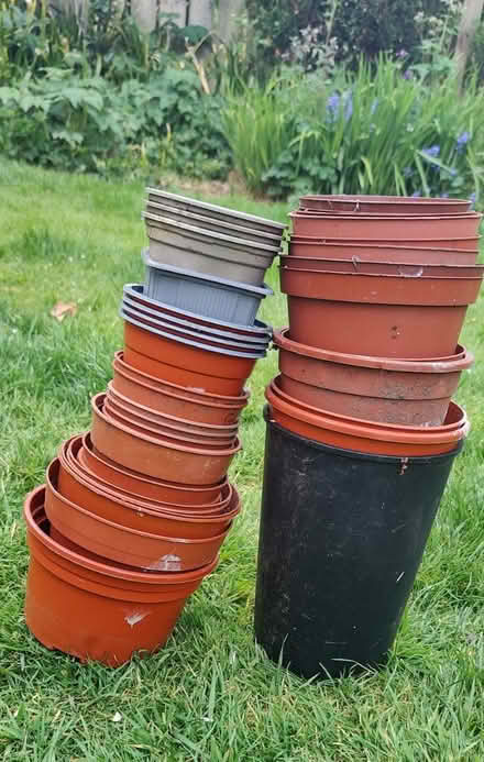 Photo of free Plant Pots (Gosforth NE3) #1