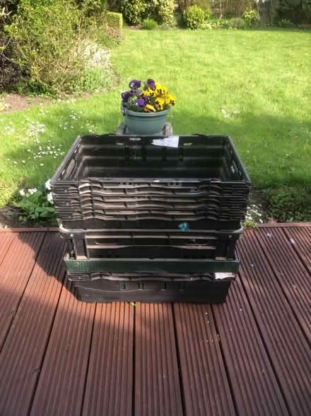 Photo of free 6 Large plastic trays. (Holmeswood L40) #1