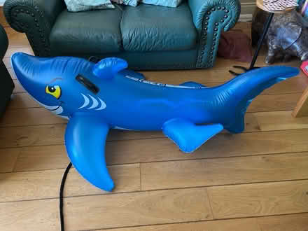 Photo of free Large inflatable shark (The Gallops, Leopardstown) #1