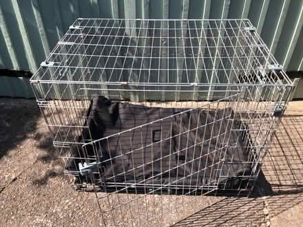 Photo of free Dog crate (Bulwell NG6) #2