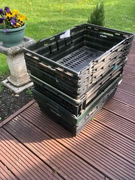 Photo of free 6 Large plastic trays. (Holmeswood L40) #2
