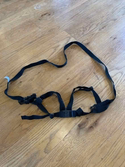 Photo of free Toddler reigns (Whittlesford CB22) #2