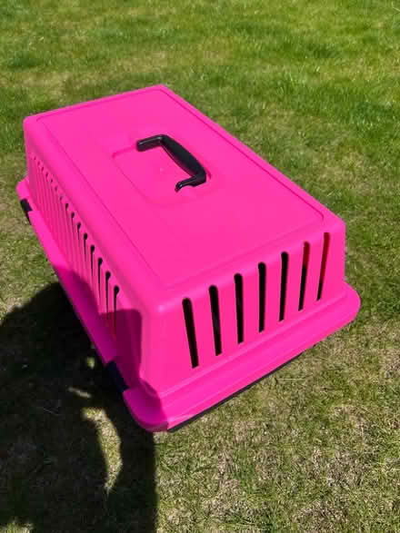 Photo of free Plastic cat carrier (Whitemans Green RH17) #2