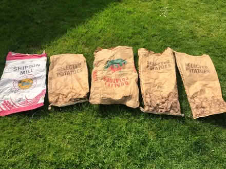 Photo of free Potato sacks (Harrogate HG2) #1