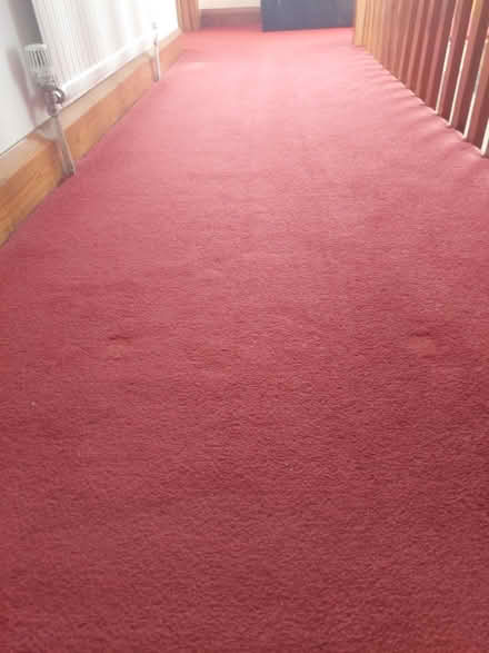 Photo of free Axminster Dark Red Landing Carpet (Horsham) #1