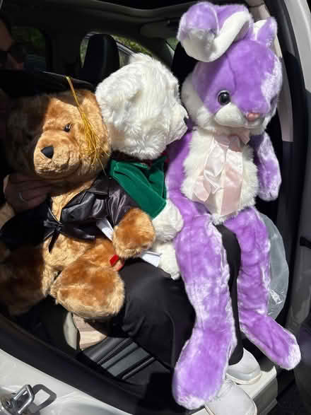 Photo of free Stuffed Animals (Mt. Tabor) #1
