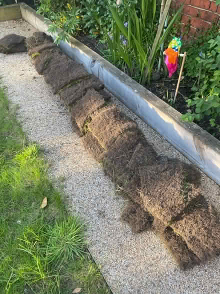 Photo of free Turf (Lytham St Anne’s, FY8) #1
