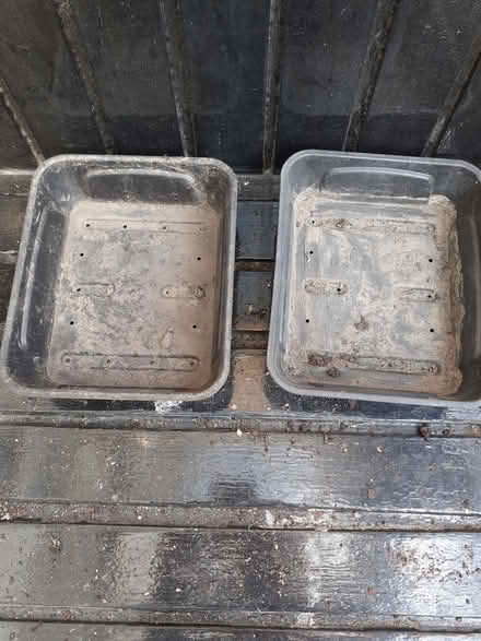 Photo of free Two 20x14cm seed trays with drainage (Wandsworth Common SW12) #1