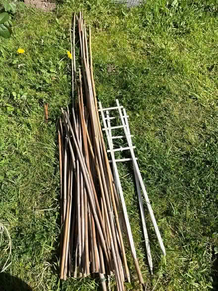 Photo of free Bamboo garden canes (Annesley NG15) #1