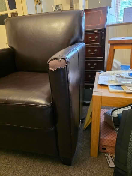 Photo of free 2x lounge chairs (Georgeham EX33) #4