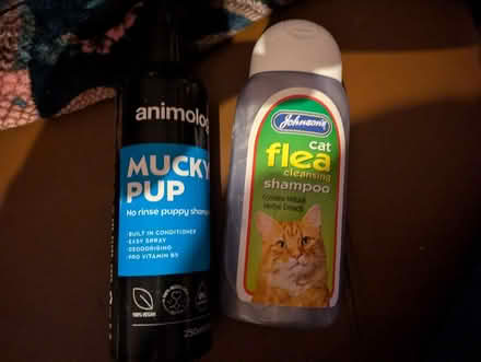 Photo of free Pet items (Freehold LA1) #1