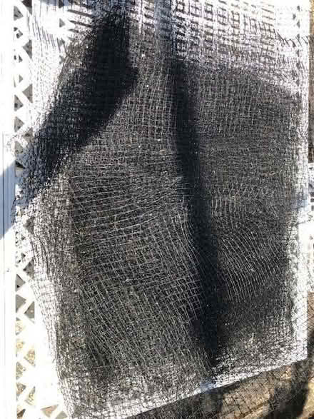 Photo of free Used 10mm squares Black Netting (Rayleigh SS6) #1