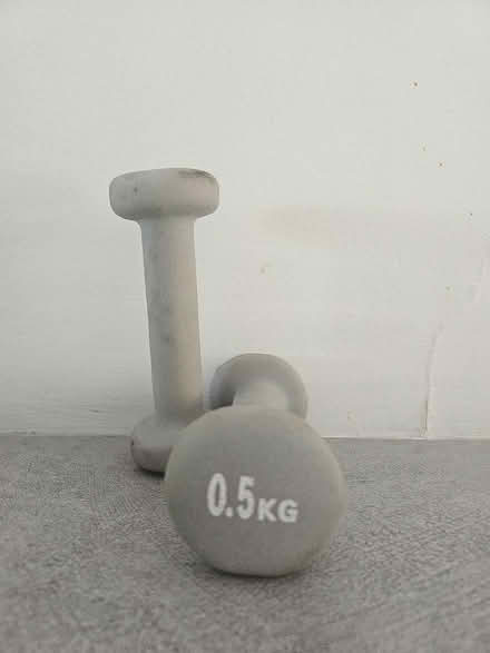 Photo of free 2 x 0.5kg dumbells (Bearsted) #1