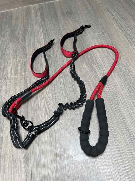 Photo of free Double Dog Lead splitter. Nearly new. Part broken (Southsea PO4) #1