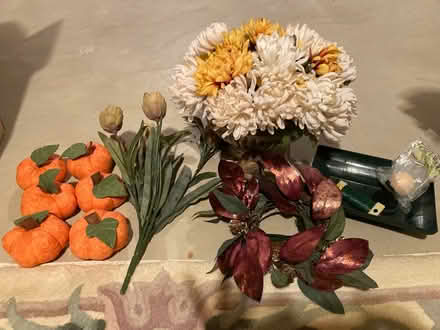 Photo of free Craft/ silk flowers / pumpkins (Cherry Hill and Beck area) #1