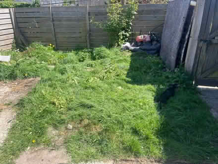 Photo of Lawnmower (Woodmancote GL7) #3