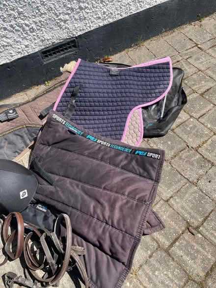 Photo of free Horse riding tack. (Bognor Regis PO21) #2