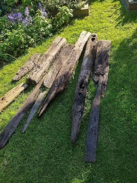 Photo of free Driftwood (Old Town TN40) #1