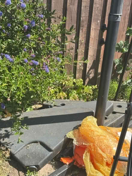 Photo of free Hanging garden umbrella (Hampton Peterborough) #4