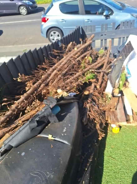 Photo of free Fresh cut down wood (Middleton LS10) #1