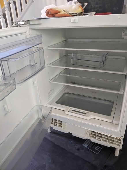 Photo of free Fridge (Colchester CO4) #3