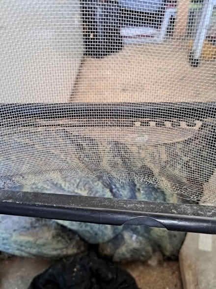 Photo of free Vivarium (Bexhill-on-Sea) #3