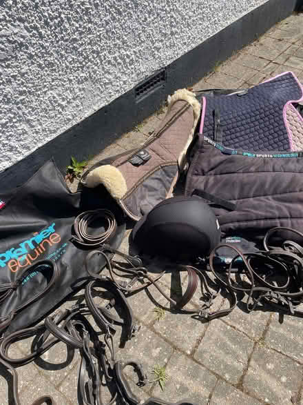 Photo of free Horse riding tack. (Bognor Regis PO21) #3