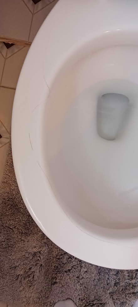 Photo of free toilet bowl tank not included (Mi.& Middlebelt , Inkster Mich) #3