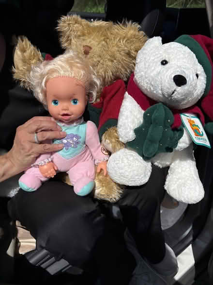 Photo of free Stuffed Animals (Mt. Tabor) #2
