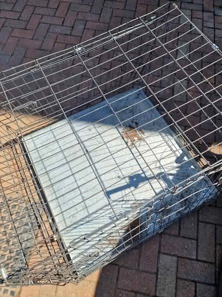 Photo of free Large dog crate (Cranbrook, Exeter EX5) #3