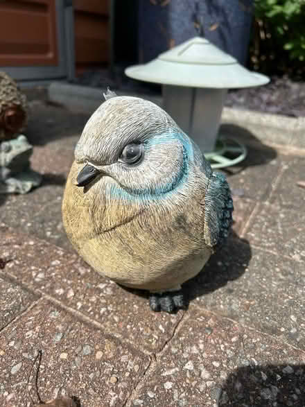 Photo of free Garden decorations (Skerton LA1) #1