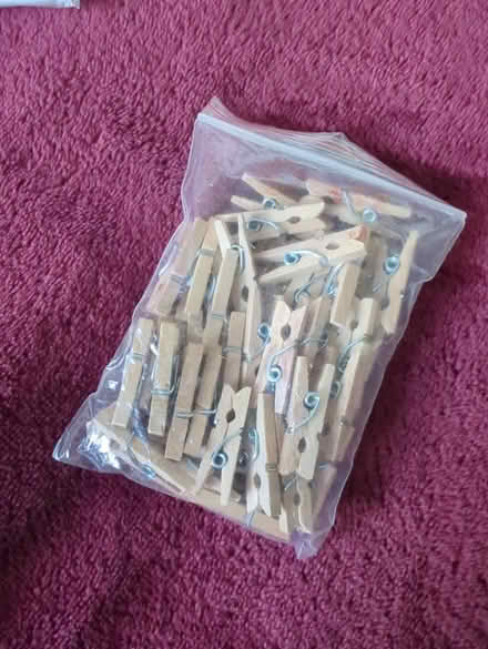 Photo of free Mini wooden pegs (Holloway road) #1