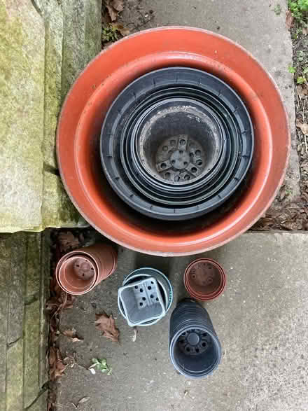 Photo of free Range of Plastic Flower Pots (WS13) #1