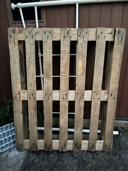 Photo of free Pallet (TN15) #2