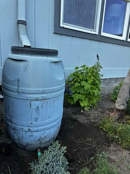 Photo of free Rain barrels (2) (Camas) #1