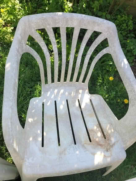 Photo of free Plastic garden chairs x 4 (Shenley Fields B29) #2