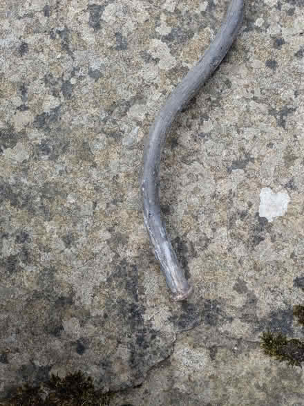 Photo of free Outdoor wall lamp (AB24) #1